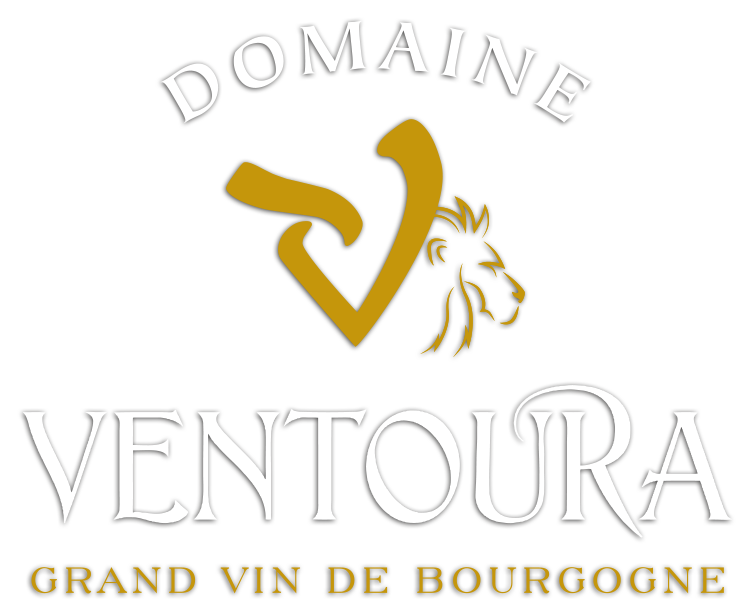 Domaine Ventoura